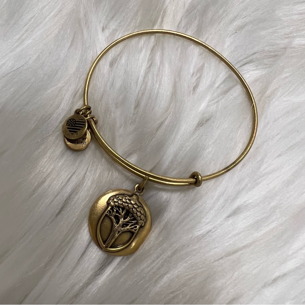Alex and Ani Rafaelian Gold Unexpected Miracles Acorn Charm Bangle Bracelet